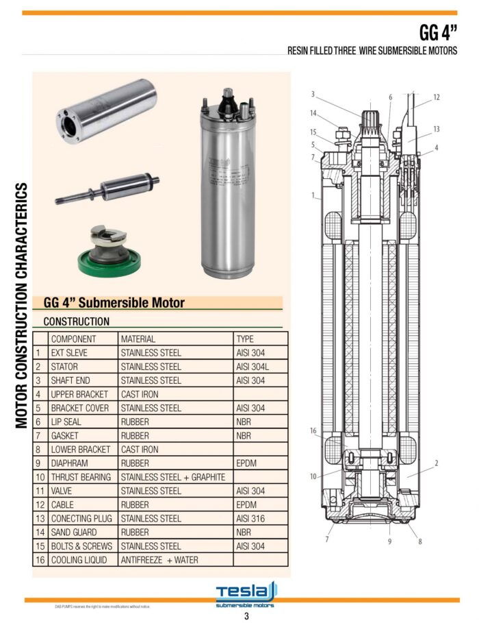 GG-4-Inch-Motor-springpump