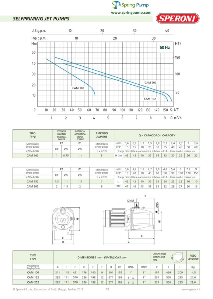 Speroni CAM202 Shallow Well Jet Pump – 2HP – 2376 GPH – 220V - Single Phase - Image 3