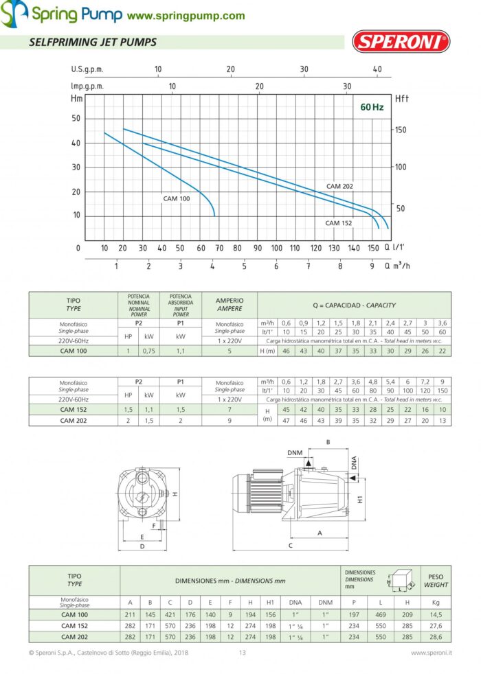 Speroni CAM100 Shallow Well Jet Pump – 1HP - Single Phase* - Image 3