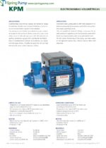SpringPump-SPERONI-Catalog-KPM50-80