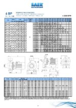 SAER Centrifugal- 6BP 12/160 - 5.5Hp - Three Phase - Image 4