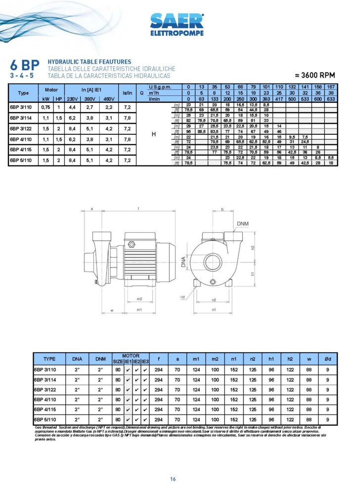 SAER Centrifugal - 6BP 5/110 - 2Hp - Single Phase - Image 4
