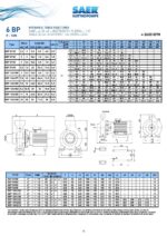 SAER Centrifugal - 6BP 9/130 - 3Hp - Single Phase - Image 4