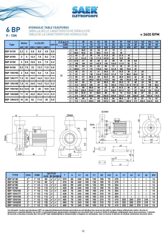 SAER Centrifugal - 6BP 9/130 - 3Hp - Single Phase - Image 4