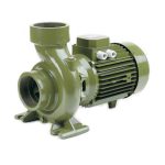SAER Centrifugal - 6BP 11/137 - 4Hp - Single Phase